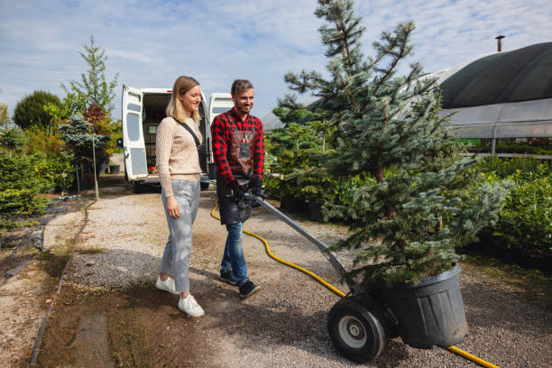 Best Hazardous Tree Removal  in Blawnox, PA